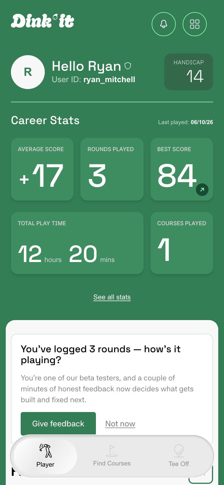 Dink'It dashboard header showing a Handicap stat of 14